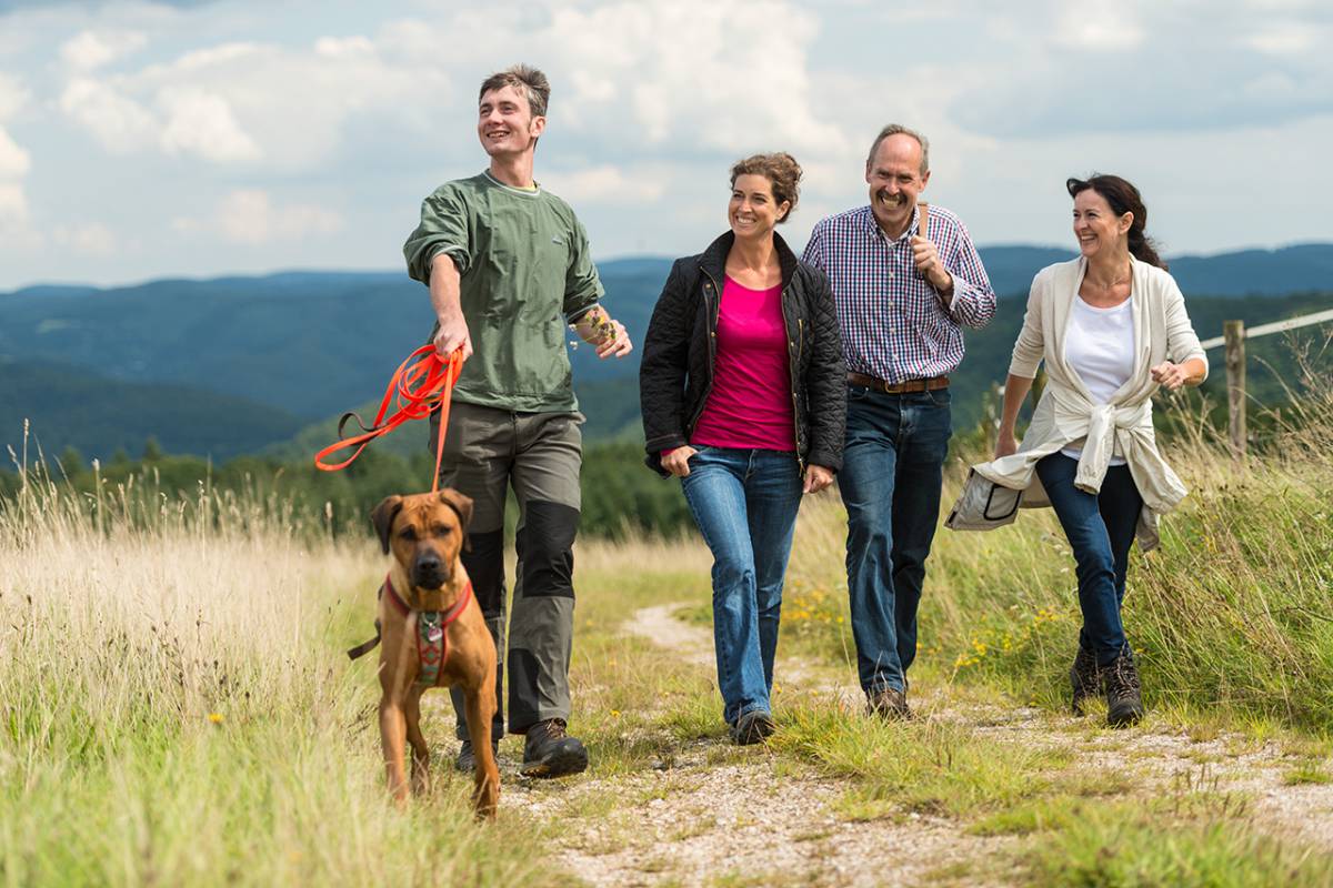 Wandern in der Eifel