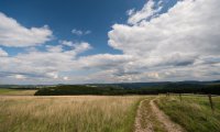 Wanderweg in der Eifel