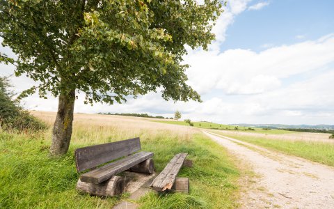 Wanderweg in der Eifel